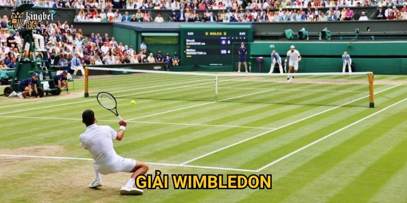 Giải Wimbledon Kingbet86 có gì đặc biệt cho fan quần vợt? 3 Giải Wimbledon Kingbet86 có gì đặc biệt cho fan quần vợt?