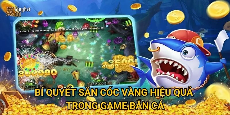 Bí quyết săn cóc vàng hiệu quả trong game bắn cá